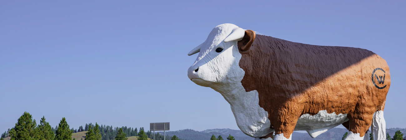 Clearwater Junction Cow Gas Station (3)