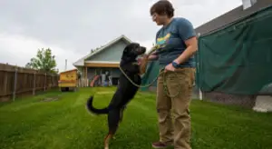 Animal control staff with dog