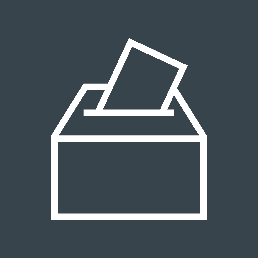 Voter Services Icon