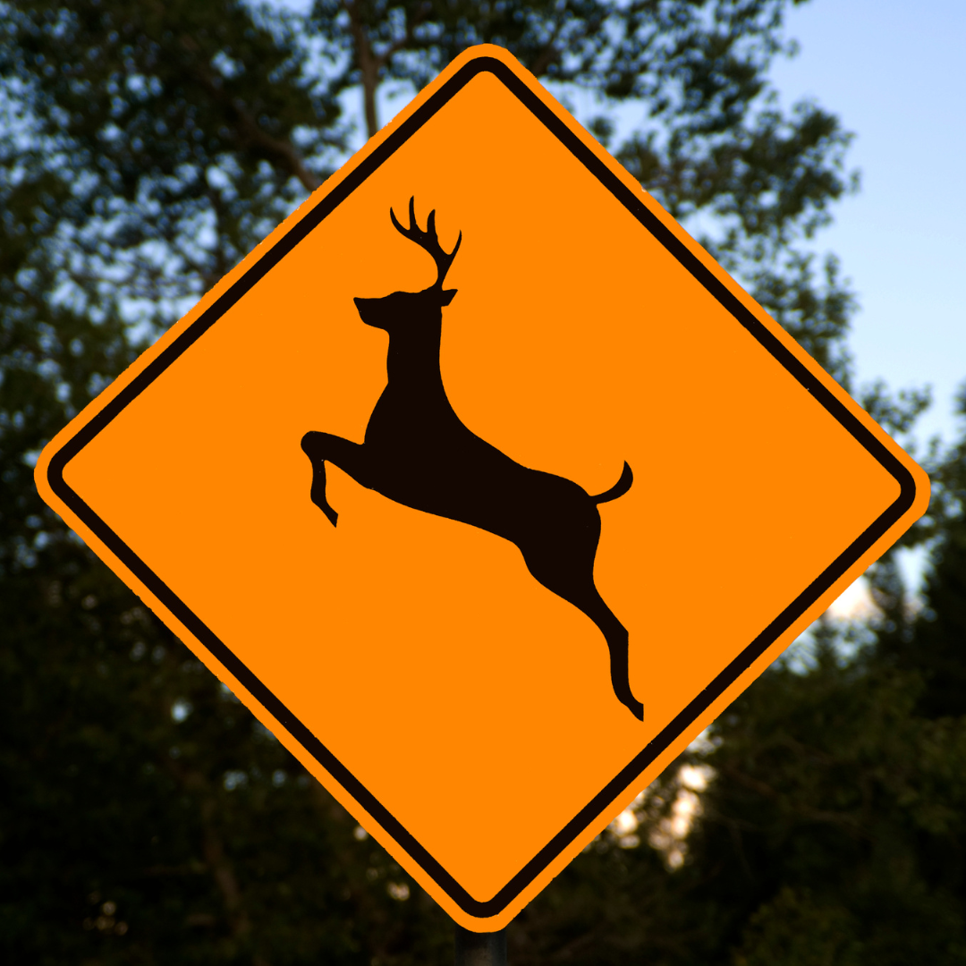 Deer Jumping Road Sign