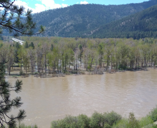 Flooded river with mountains and trees