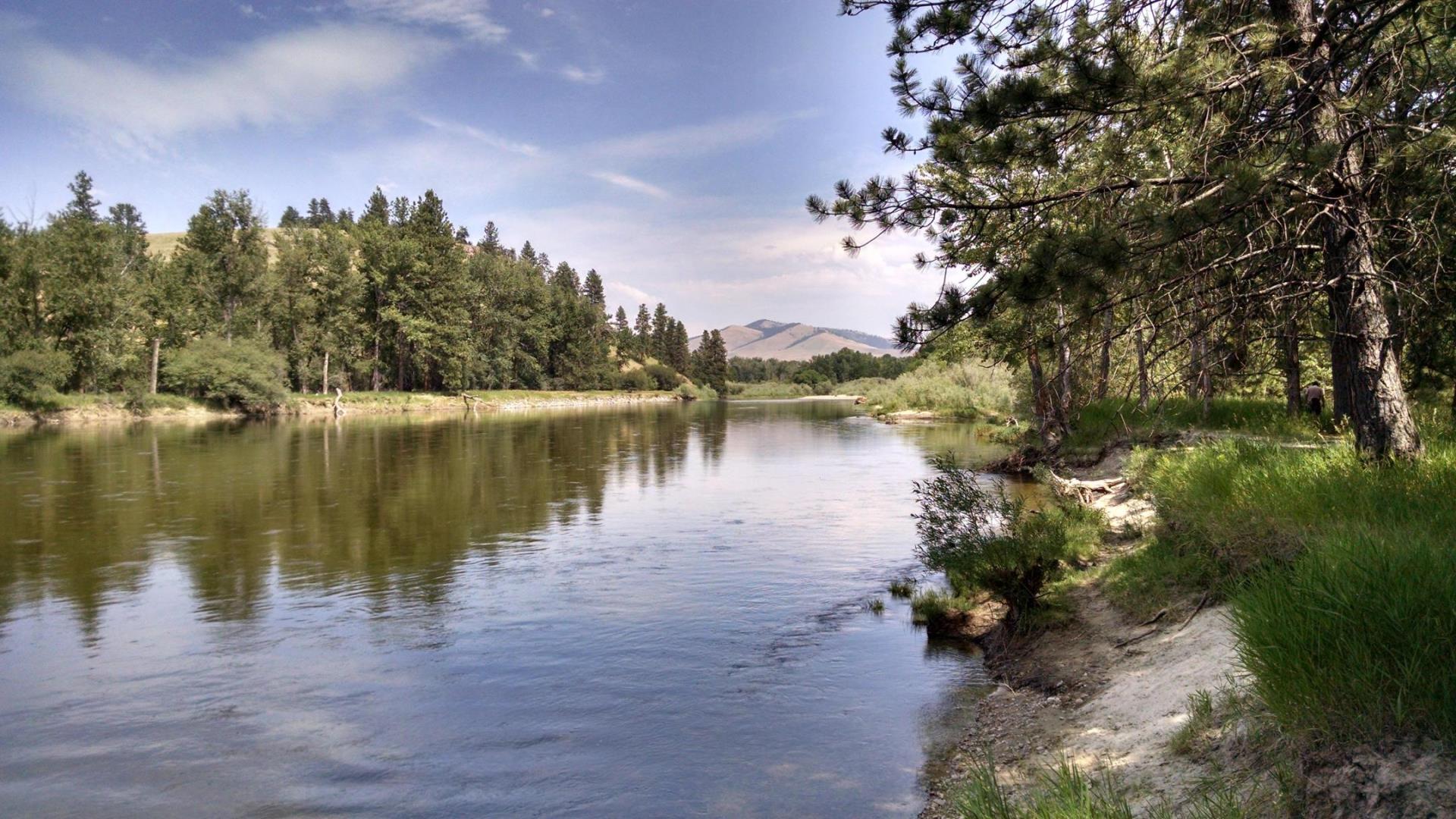 Bitterroot River at Maclay Flat Surrounded By Grass And Trees