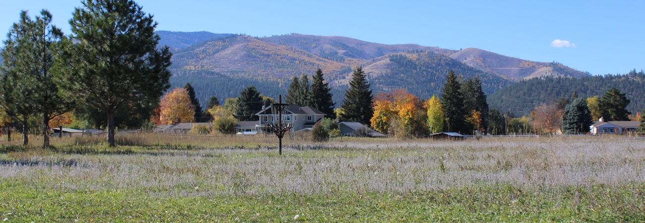 Schmautz Park in Target Range