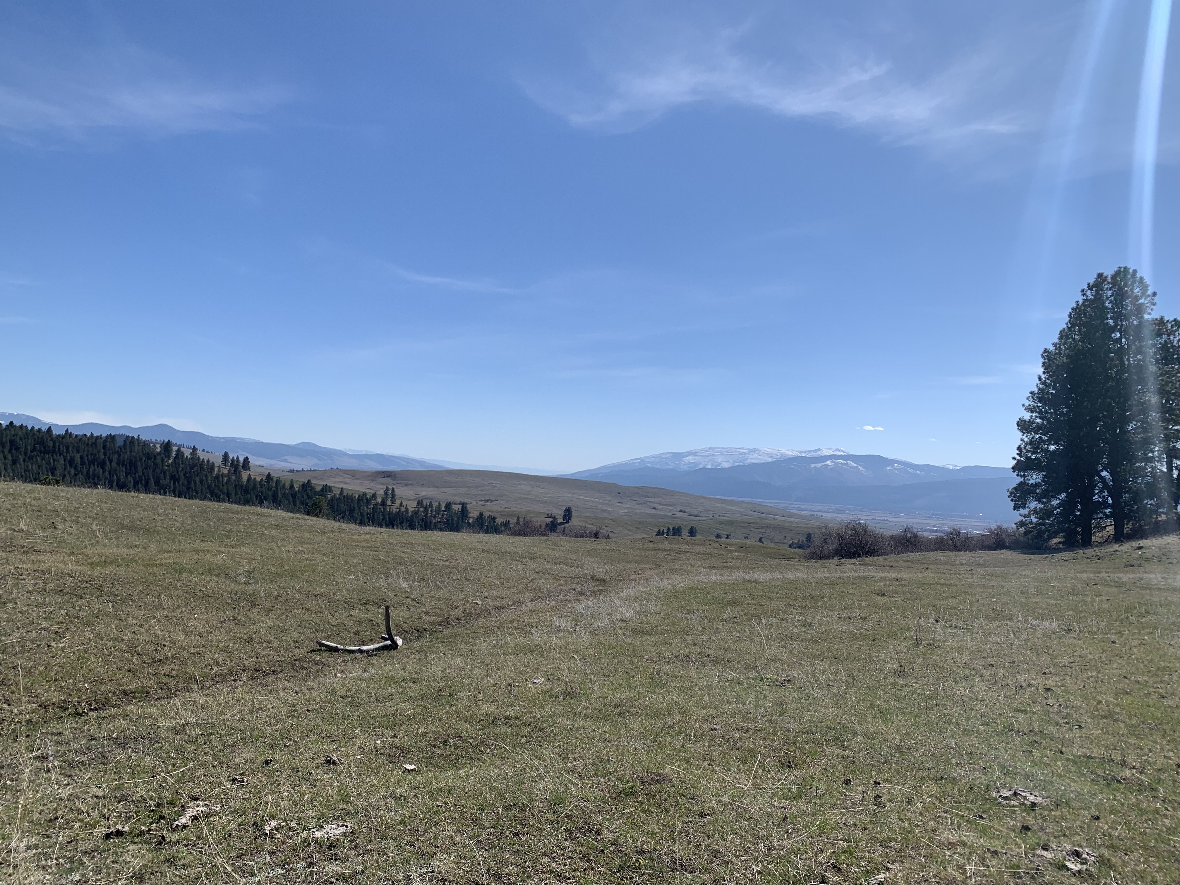 LaValle Creek Indreland Open Space Bond property