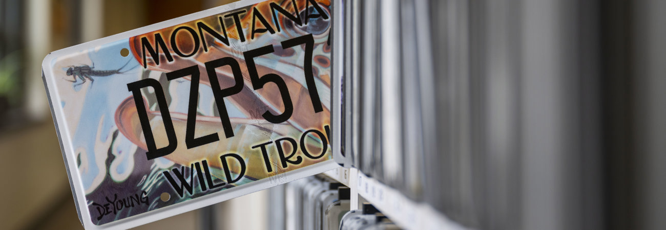 License plate in Treasurer's office