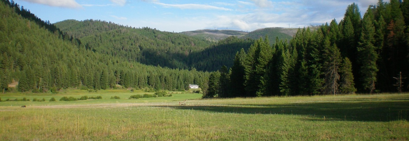 Spoon Creek Ranch