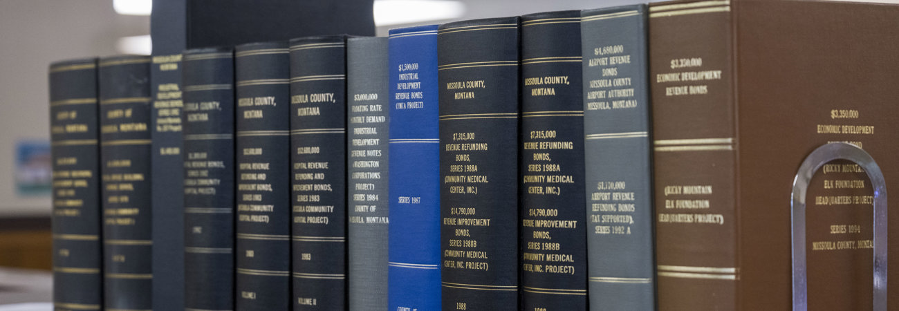 Clerk and treasurer record books